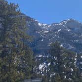 Review photo of Toiyabe National Forest McWilliams Campground by Brittney  C., April 1, 2021