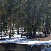 Review photo of Toiyabe National Forest McWilliams Campground by Brittney  C., April 1, 2021