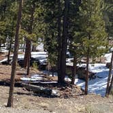 Review photo of Toiyabe National Forest McWilliams Campground by Brittney  C., April 1, 2021