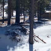 Review photo of Toiyabe National Forest McWilliams Campground by Brittney  C., April 1, 2021