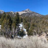 Review photo of Mt. Charleston Dispersed by Brittney  C., April 1, 2021