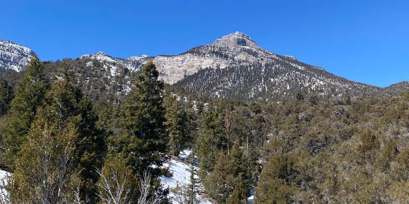 Camper submitted image from Mt. Charleston Dispersed