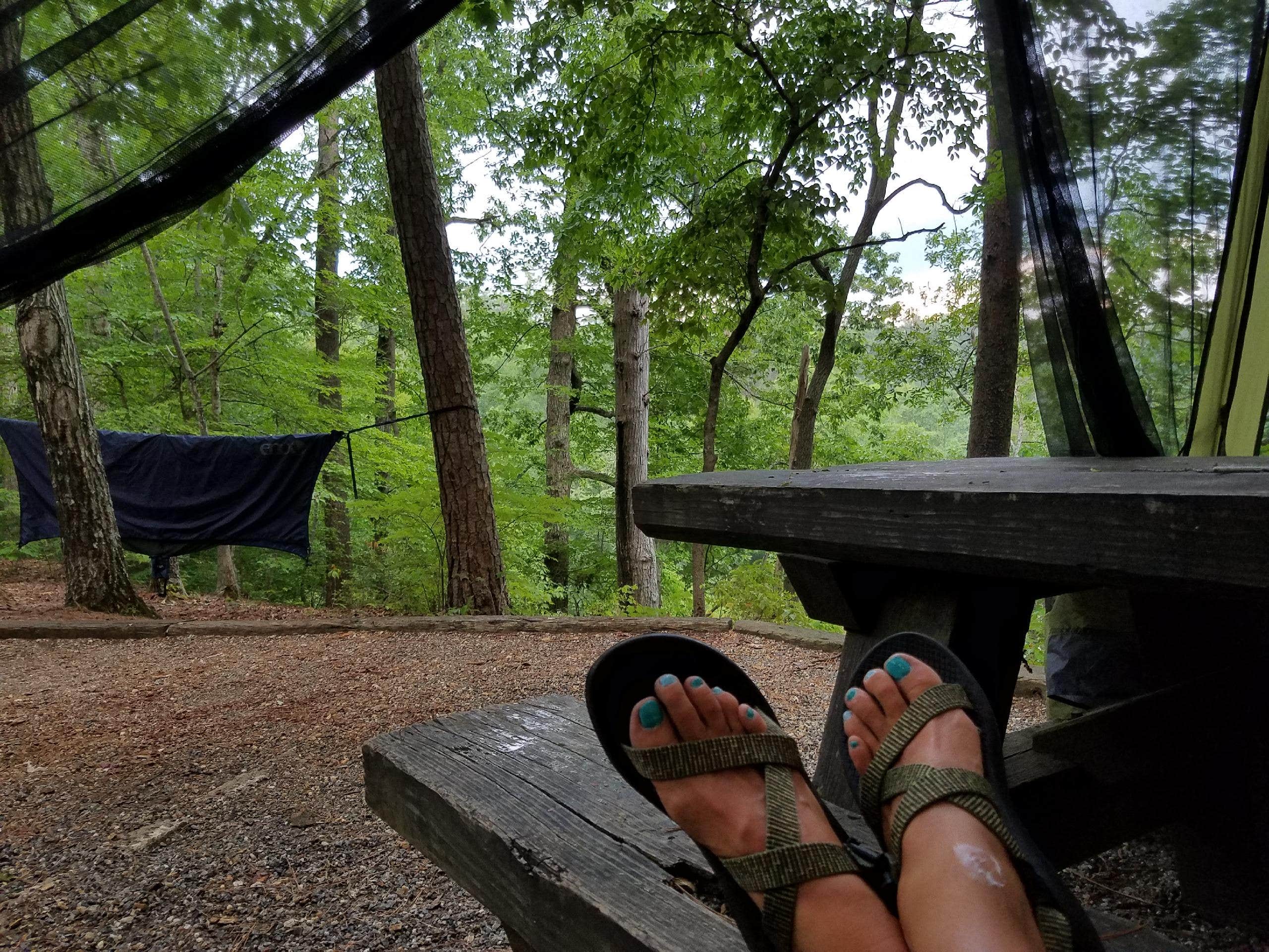 Camper submitted image from Lake Russell Recreation Area - 4