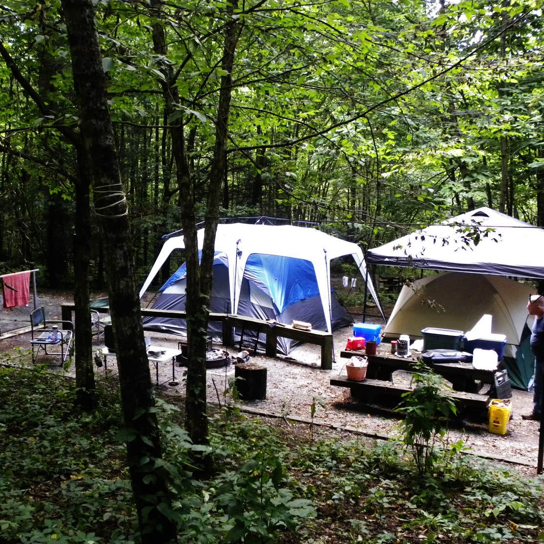 Harmon Den Horse Campground | Mars hill, NC