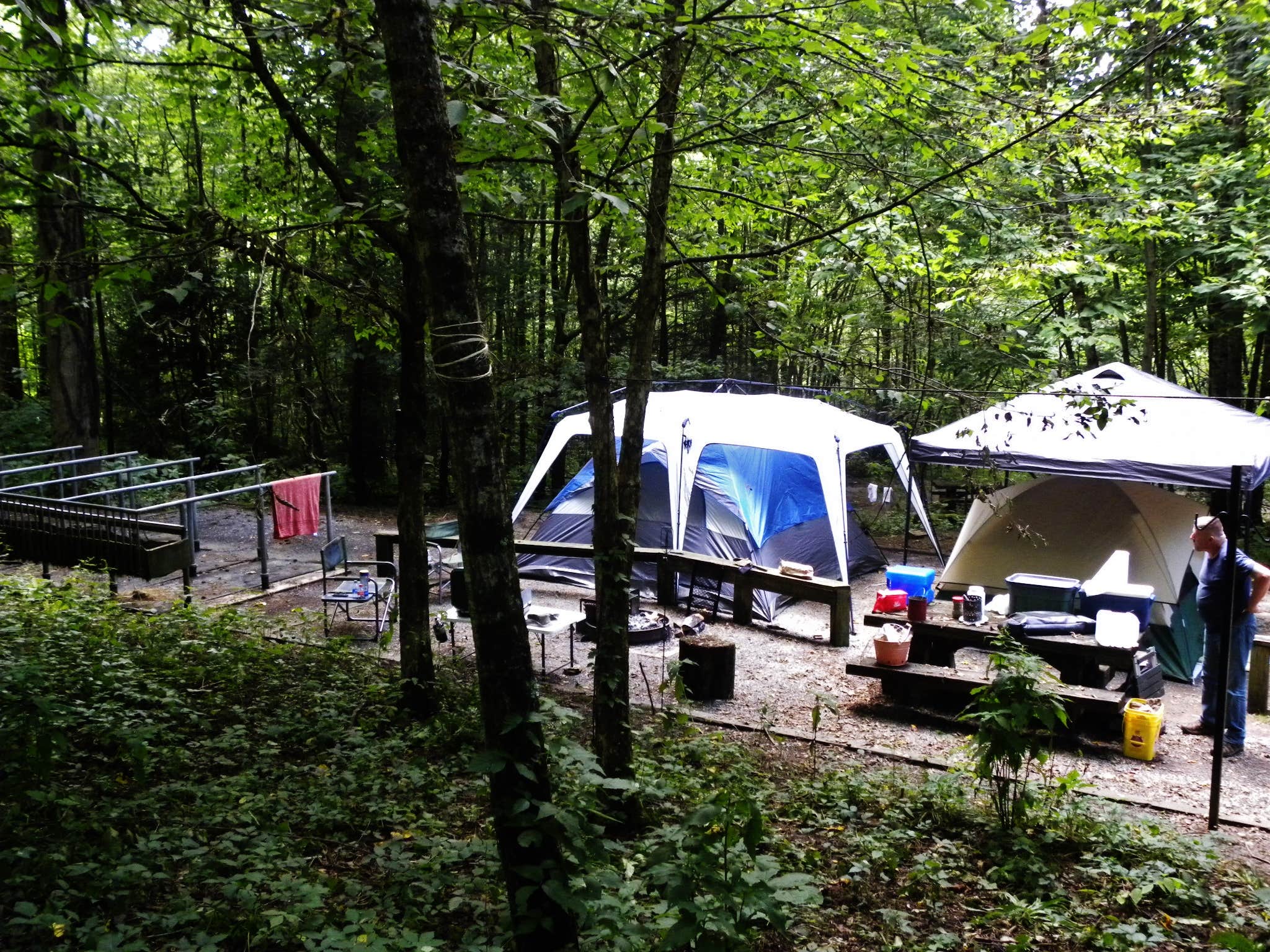 Camper submitted image from Harmon Den Horse Campground - 3