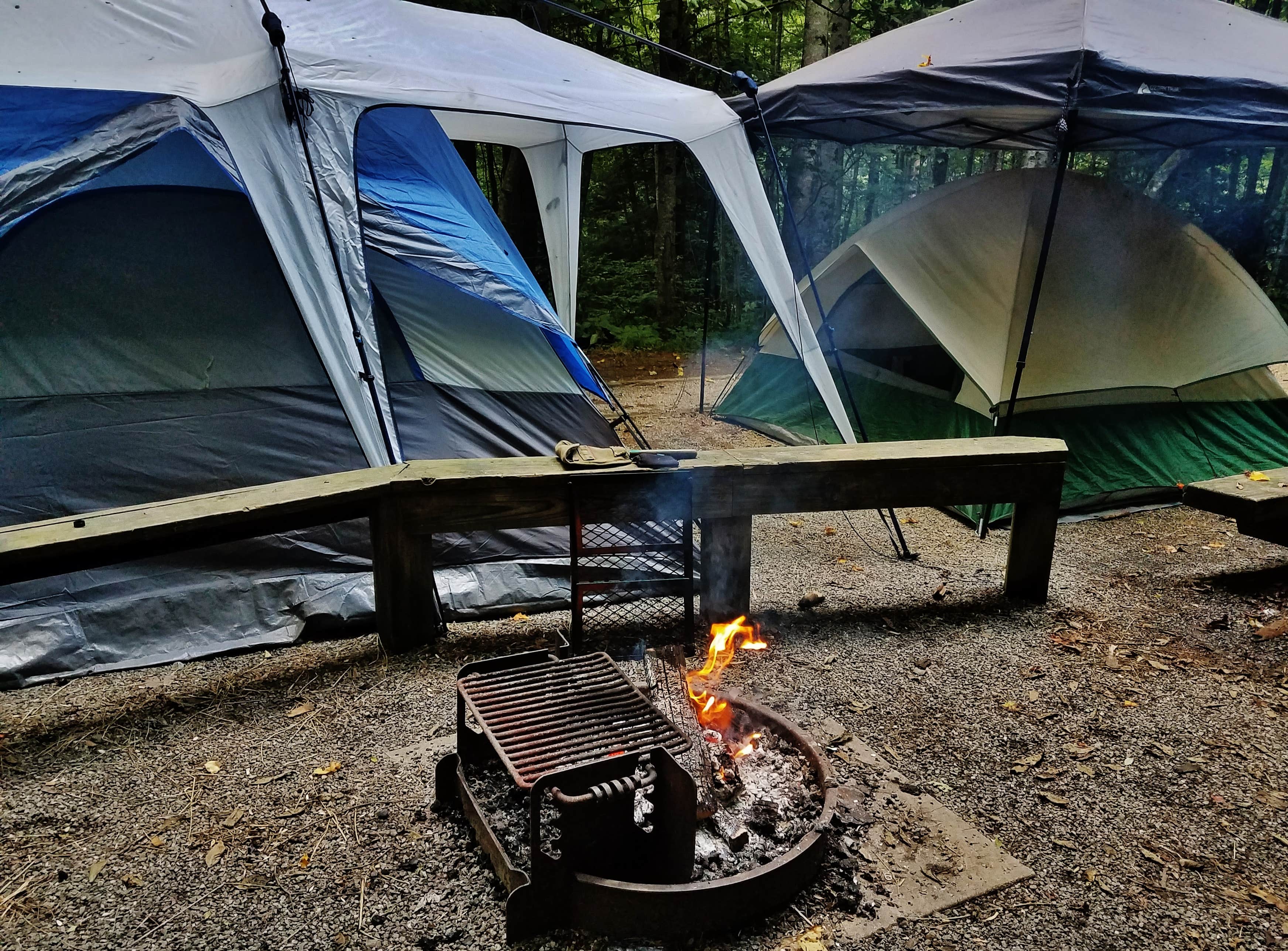 Harmon Den Horse Campground Camping | The Dyrt