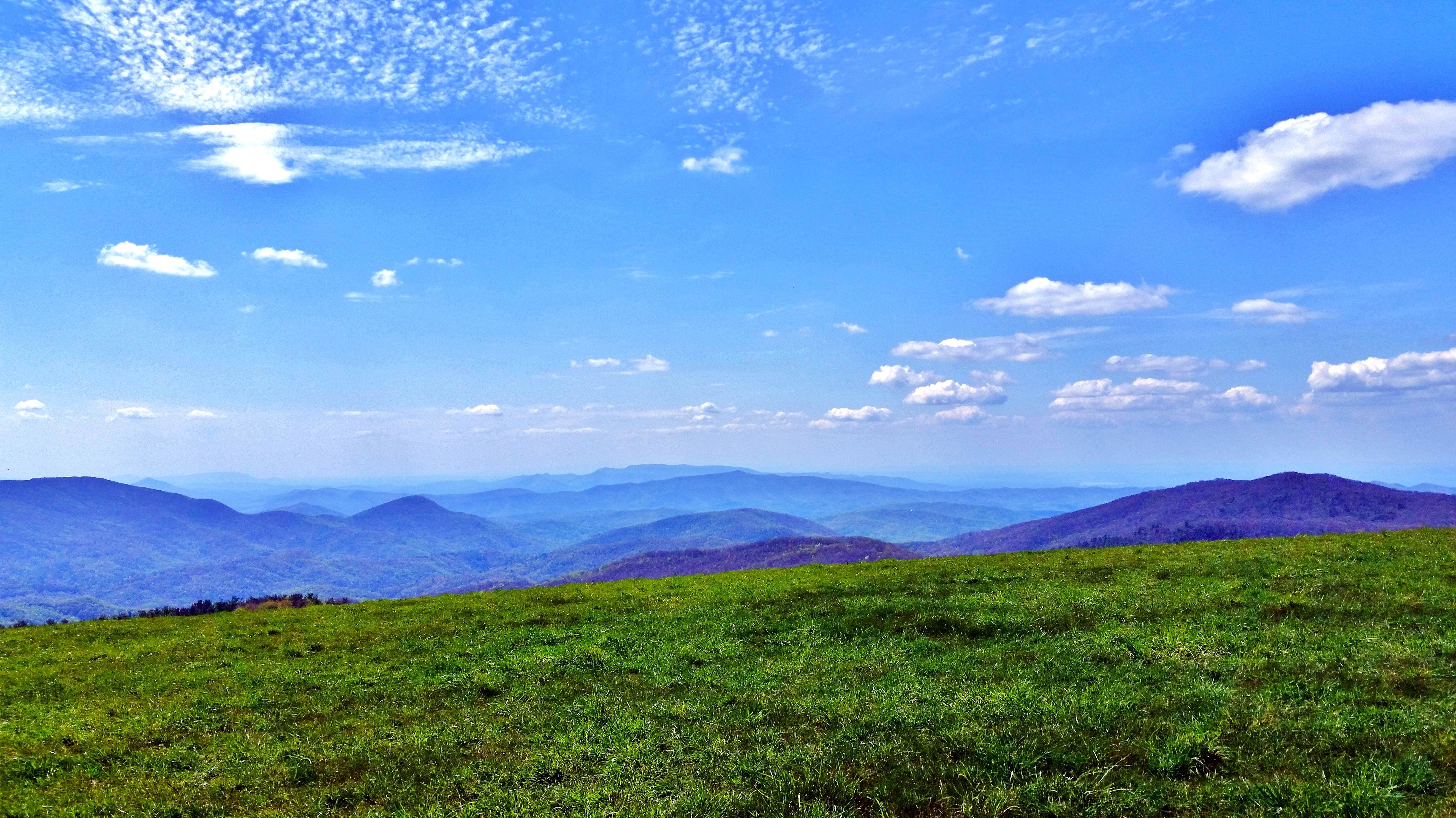 Camper submitted image from Harmon Den Horse Campground - 2