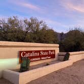 Review photo of Catalina State Park Campground by kristin S., April 1, 2021