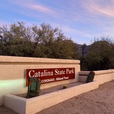 Review photo of Catalina State Park Campground by Light Backpack S., April 1, 2021