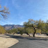 Review photo of Catalina State Park Campground by kristin S., April 1, 2021