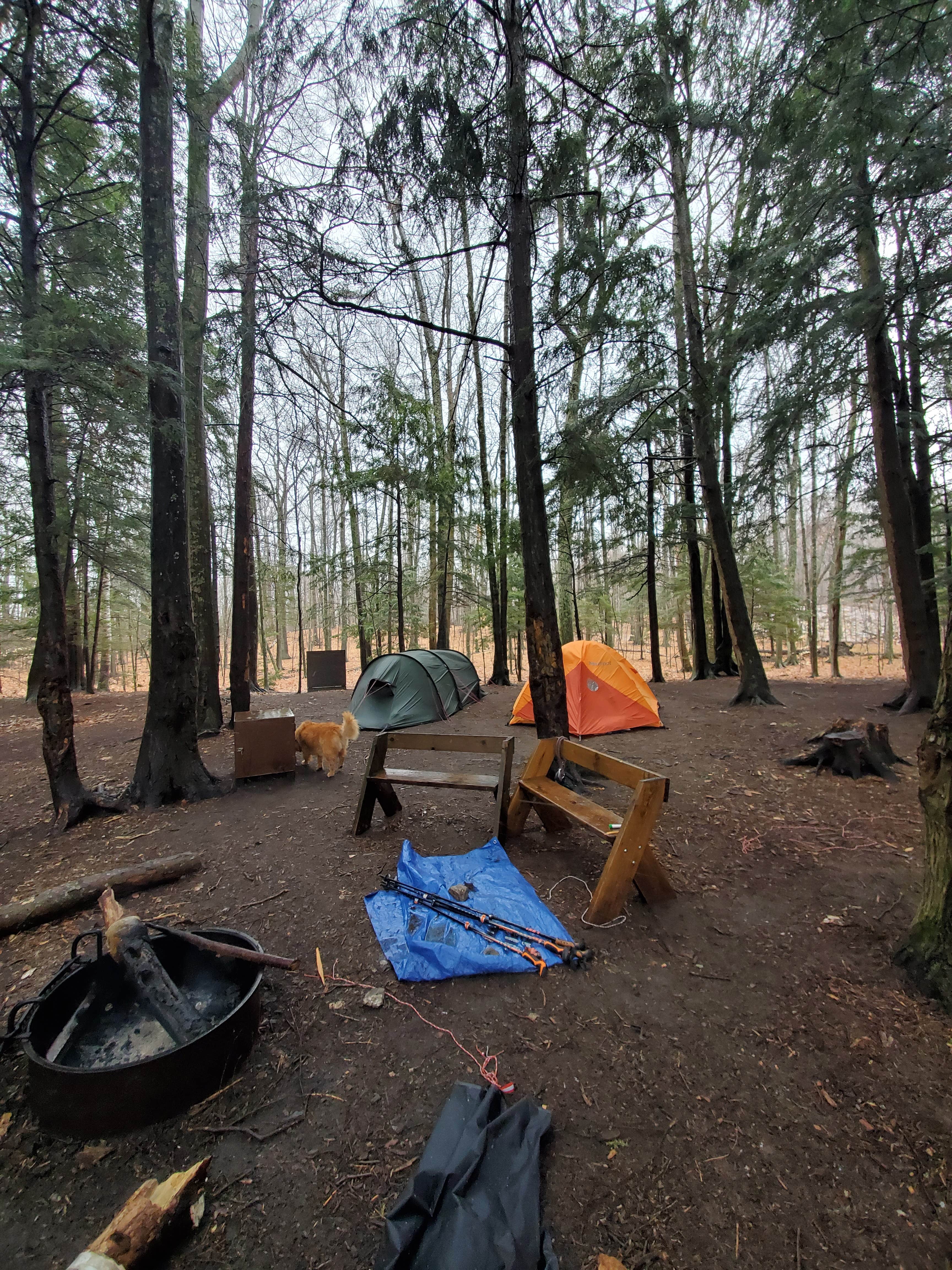 Den R.'s photo at Newport State Park Campground near Ellison Bay, WI