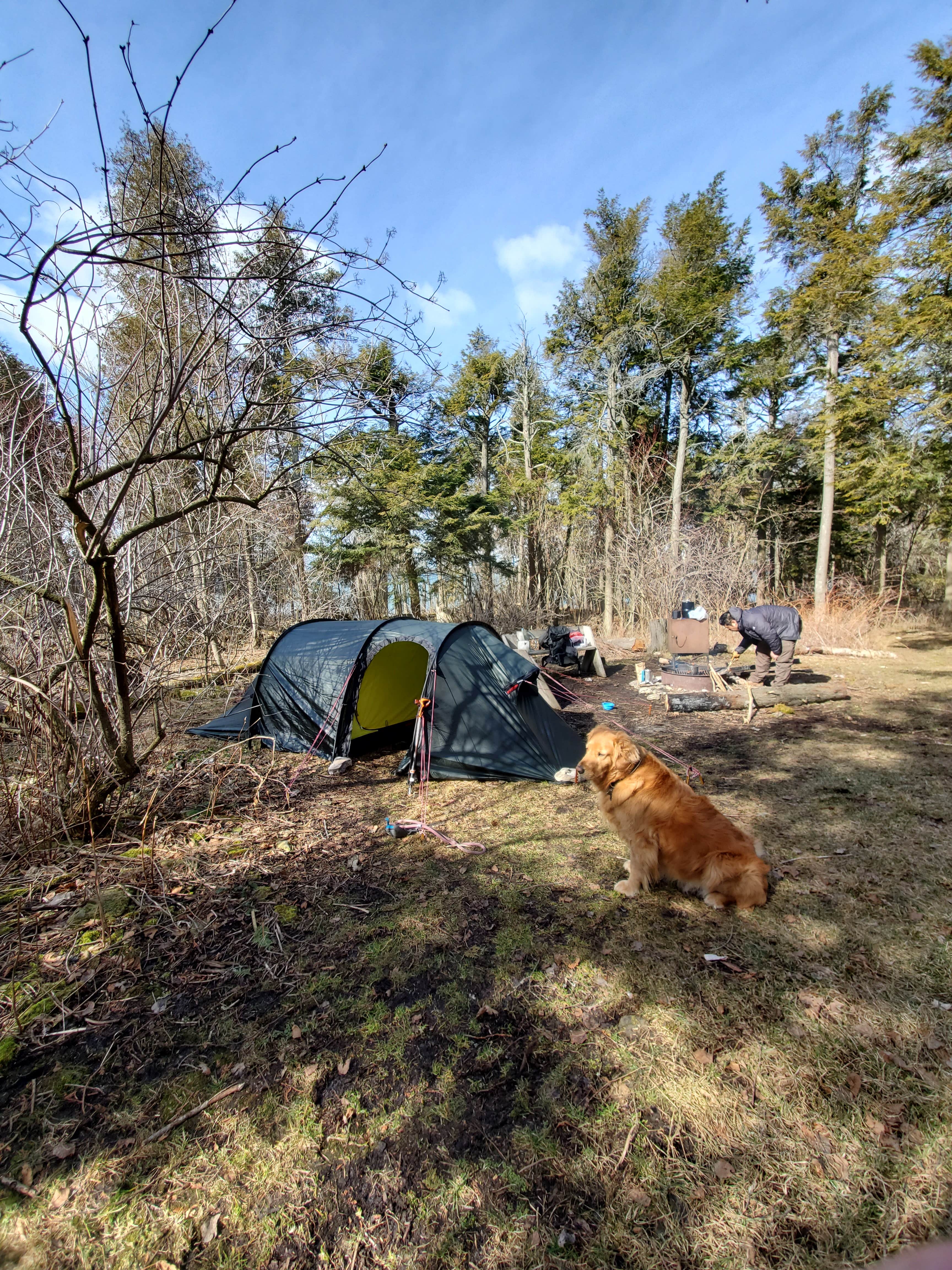 Den R.'s photo of camping with pets at Newport State Park Campground near Ephraim, WI