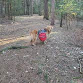 Review photo of Newport State Park by Den R., April 1, 2021