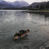 Review photo of Inyo National Forest Oh Ridge Campground by Candice M., April 1, 2021