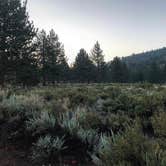 Review photo of Inyo National Forest Oh Ridge Campground by Candice M., April 1, 2021
