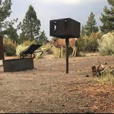 Review photo of Inyo National Forest Oh Ridge Campground by Candice M., April 1, 2021