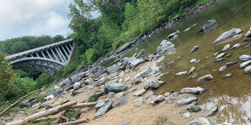 Camper submitted image from Hollofield Area Campground