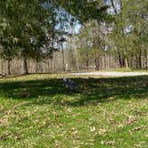 Review photo of Blue Licks Battlefield State Resort Park by Todd C., April 1, 2021