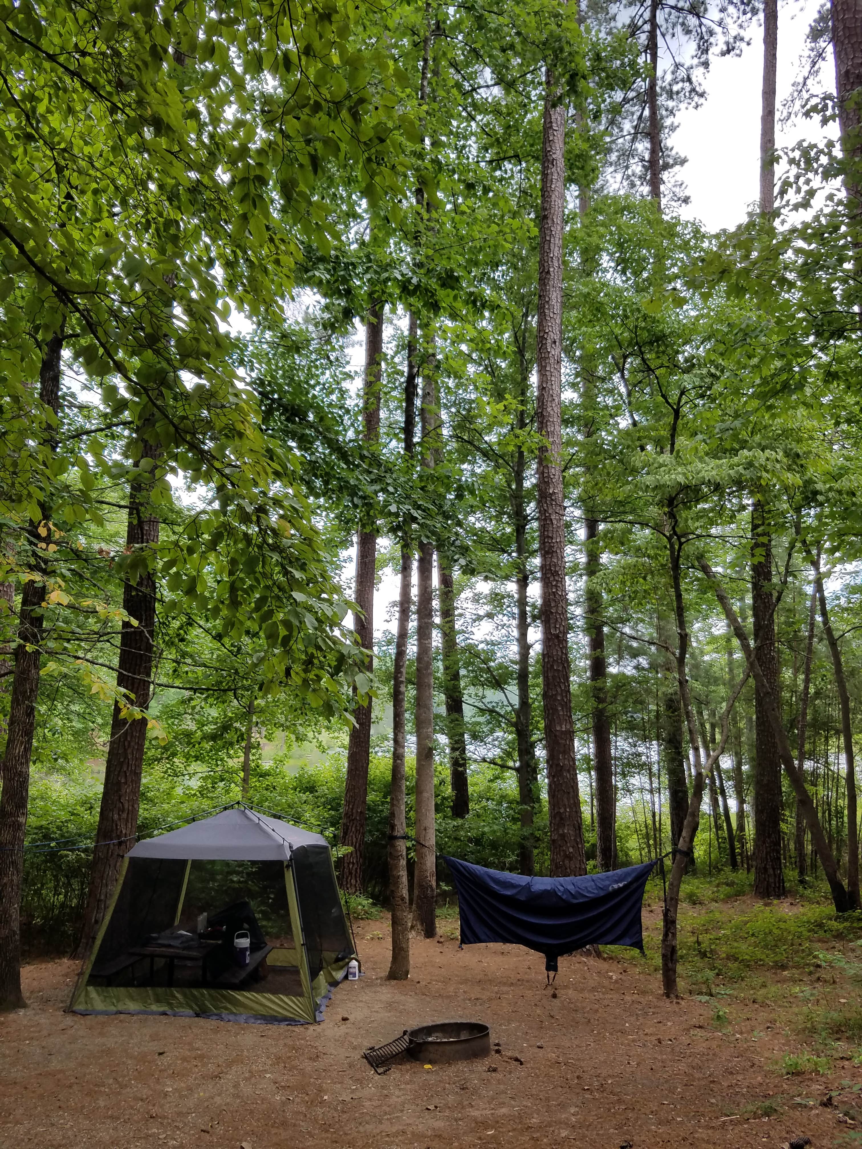 Camper submitted image from Lake Russell Recreation Area - 3