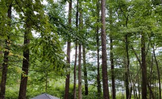 Hiking Diva ..'s photo at Lake Russell Recreation Area near Baldwin, GA