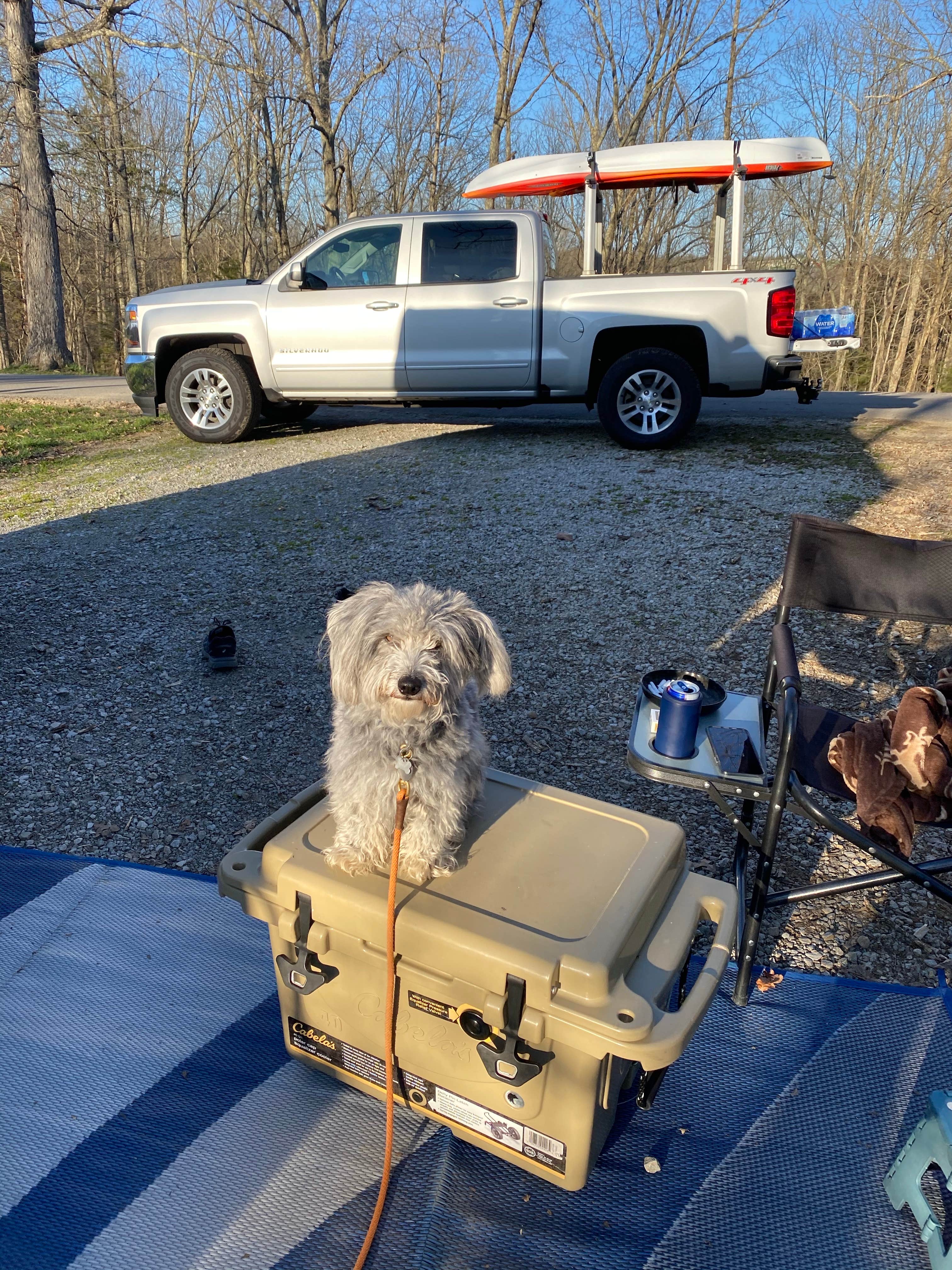Todd C.'s photo of camping with pets at Kincaid Lake State Park Campground near New Richmond, OH