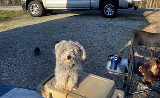 Todd C.'s photo of camping with pets at Kincaid Lake State Park Campground near Morning View, KY