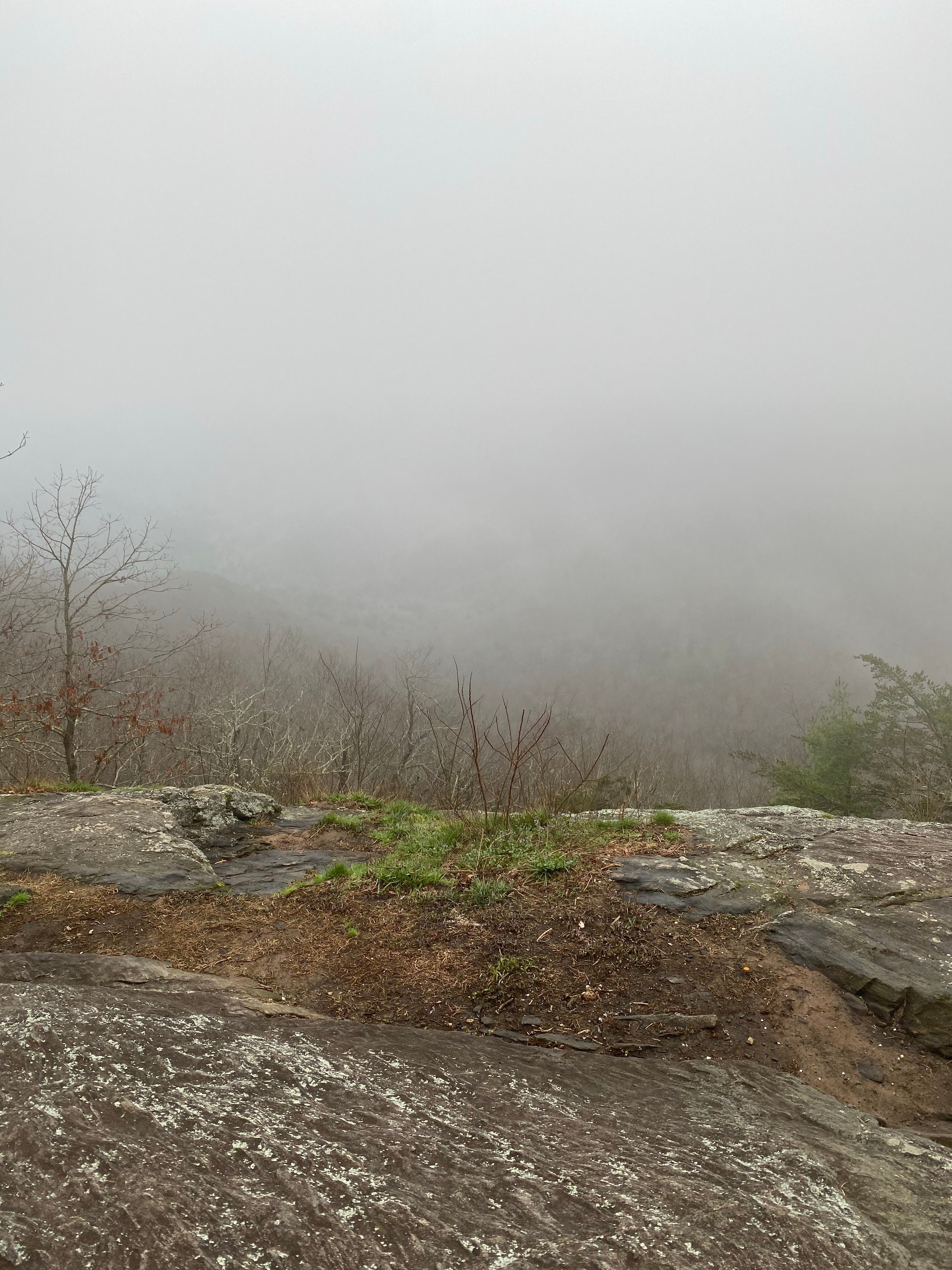 Camper submitted image from Woody Gap Campground - Appalachian Trail - 1