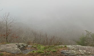 Camping near Foothills Campground: Woody Gap Campground - Appalachian Trail, Suches, Georgia