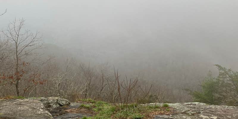 Camper submitted image from Woody Gap Campground - Appalachian Trail