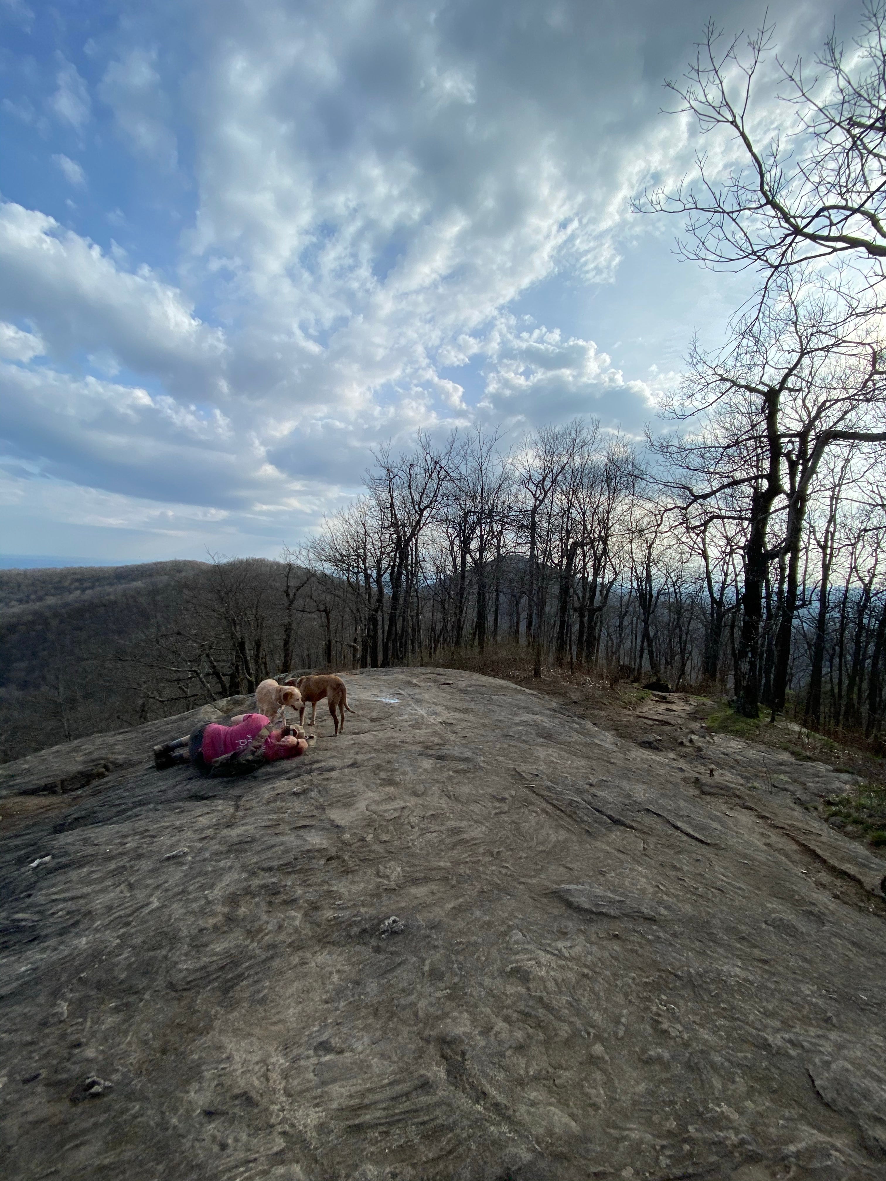 Camper submitted image from Woody Gap Campground - Appalachian Trail - 4