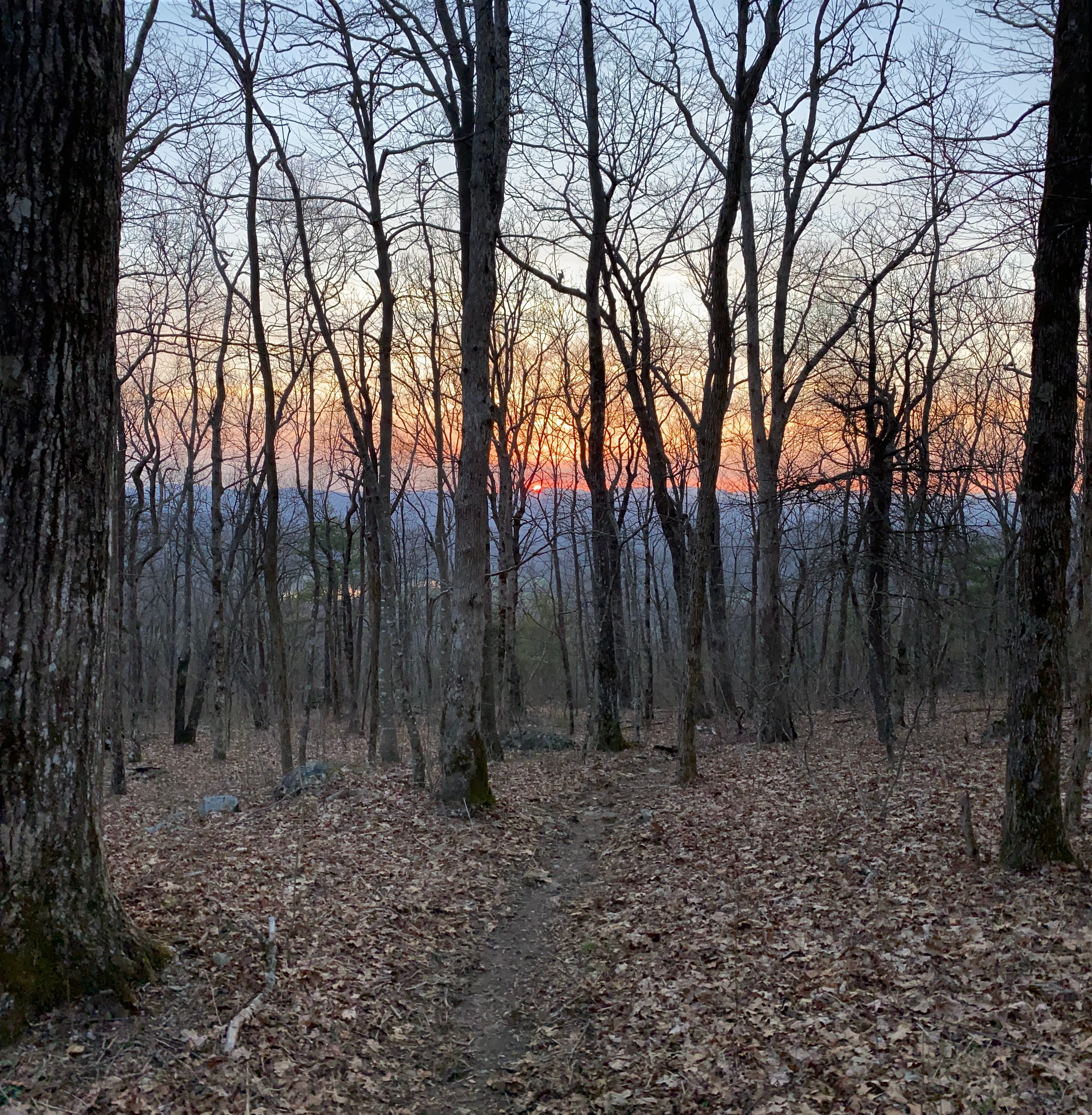 Camper submitted image from Woody Gap Campground - Appalachian Trail - 3