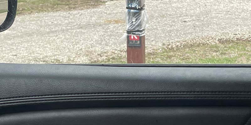 Camper submitted image from Russell Crites Primitive — Hillsdale State Park