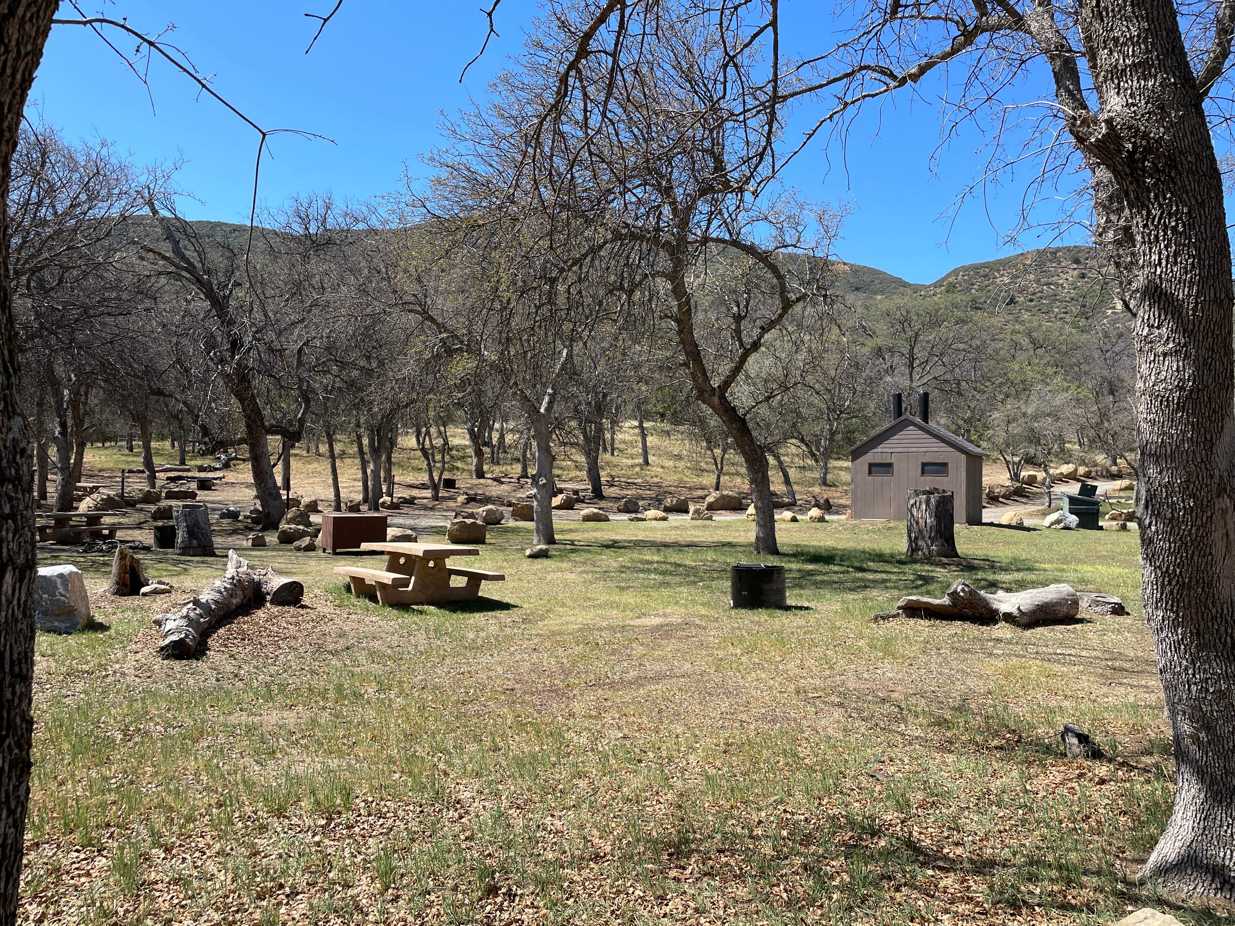 Camper submitted image from Oak Flat Campground - 4