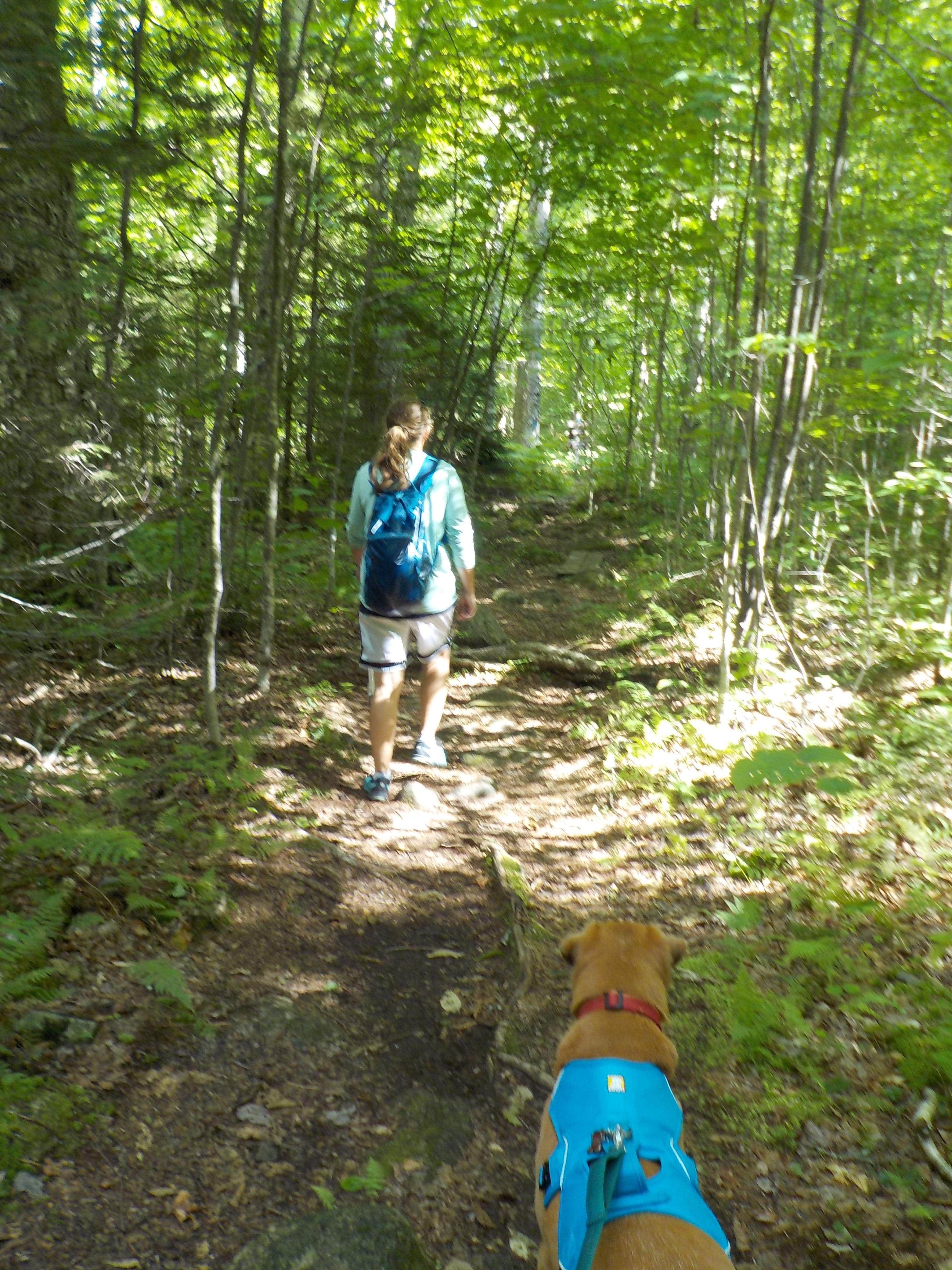 Sarah C.'s photo of camping with pets at New Discovery State Park Campground near West Newbury, VT