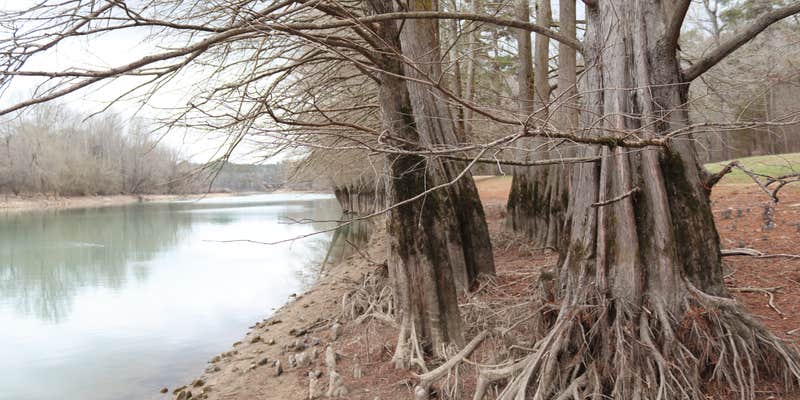 Camper submitted image from COE Lake Greeson Star of the West