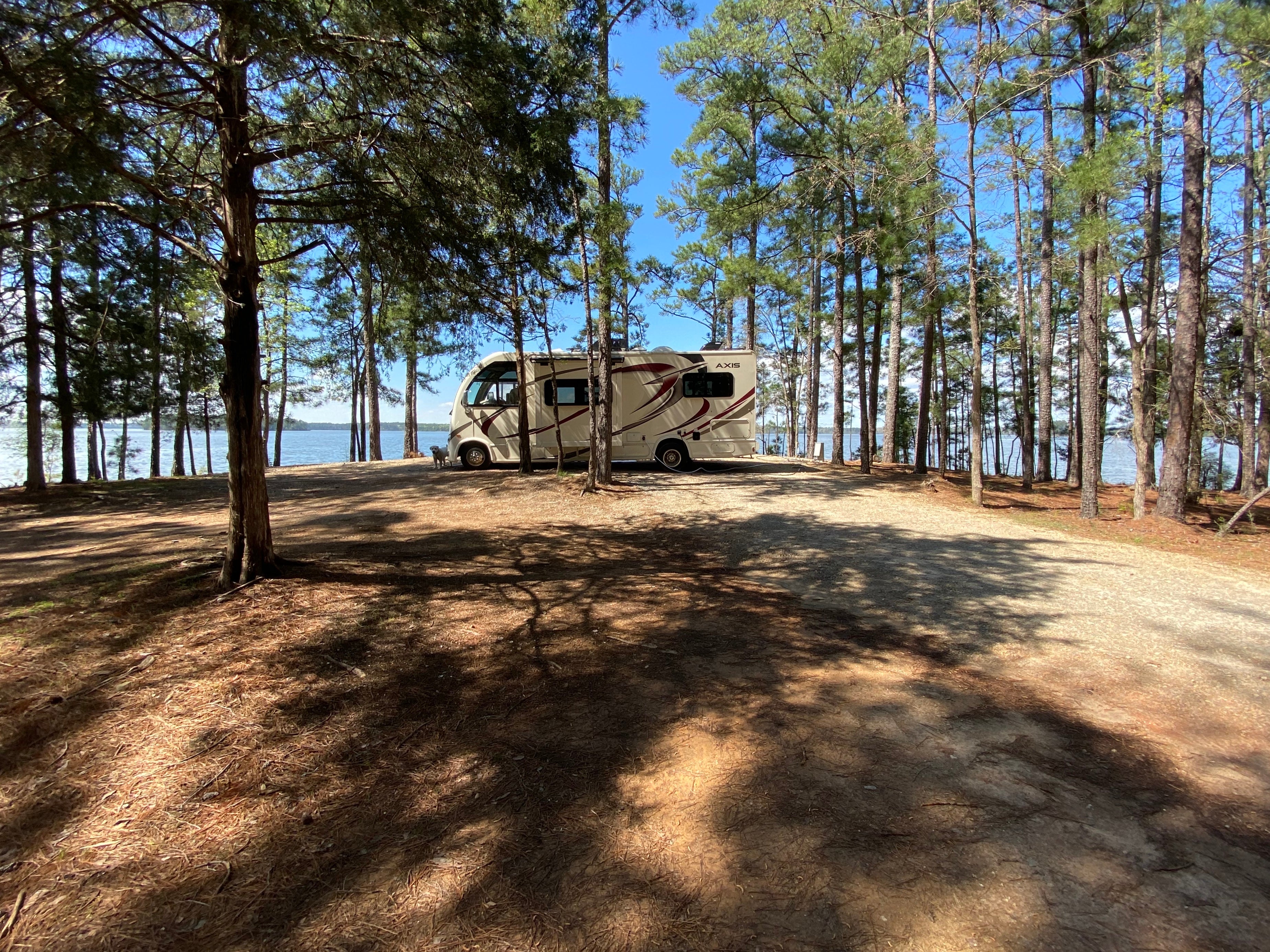 Camper submitted image from Hamilton Branch State Park Campground - 1