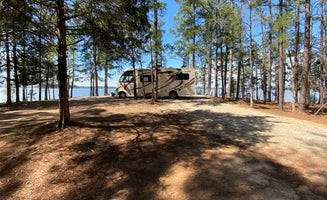Camper-submitted photo from Hamilton Branch State Park