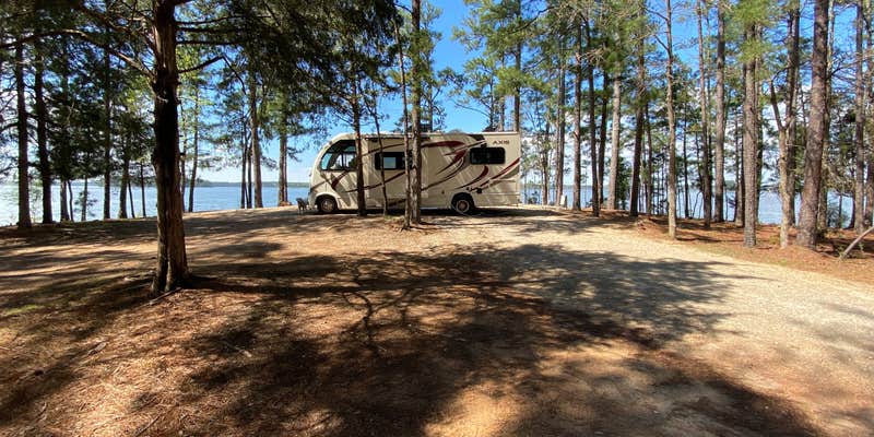 Camper submitted image from Hamilton Branch State Park Campground