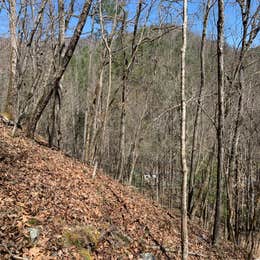 Mount Rogers National Recreation Area