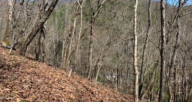 Mount Rogers National Recreation Area