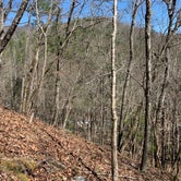 Review photo of Mount Rogers National Recreation Area by Alexandra T., April 1, 2021