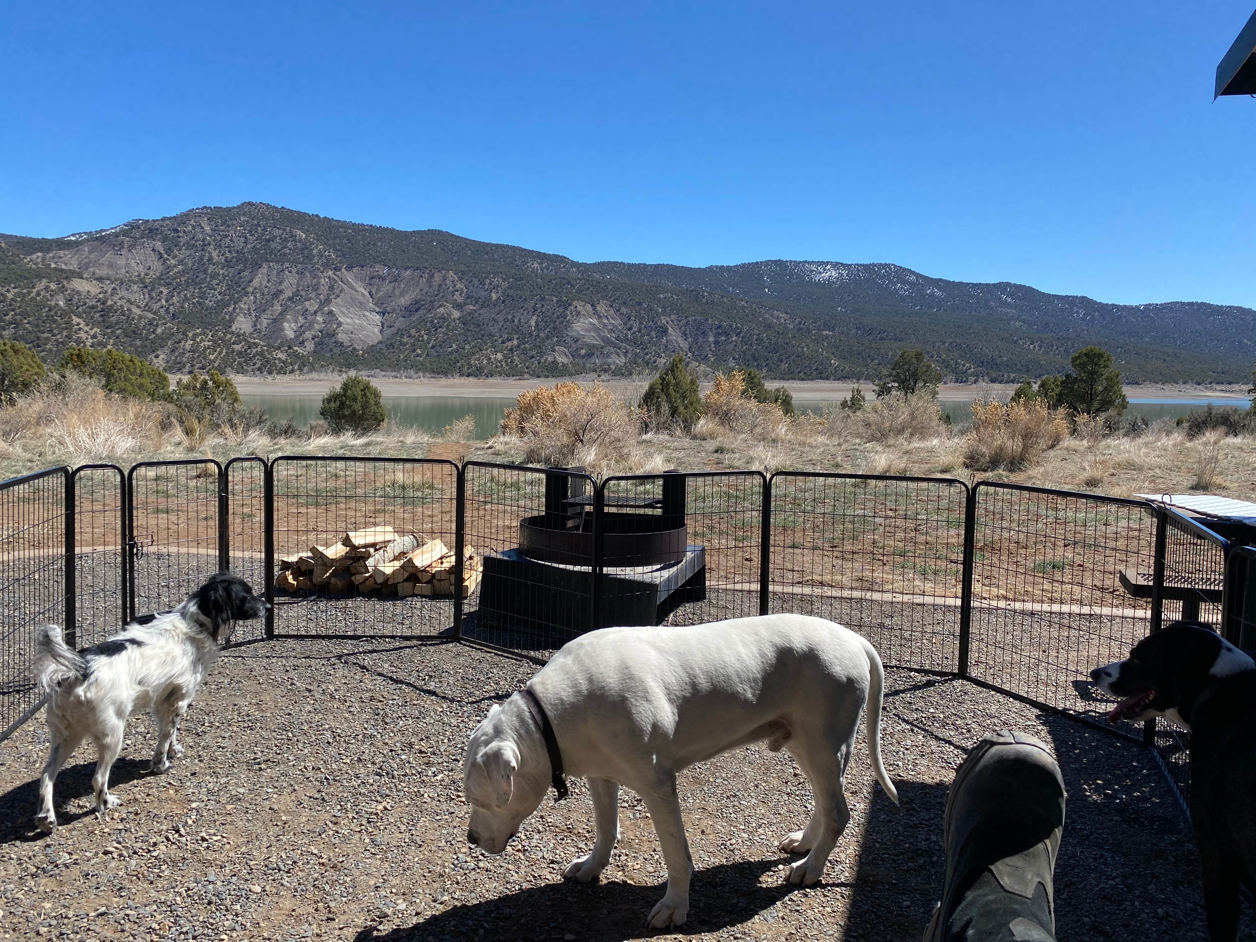 Jeff N.'s photo of camping with pets at Rosa Campground — Navajo State Park near Aztec, NM