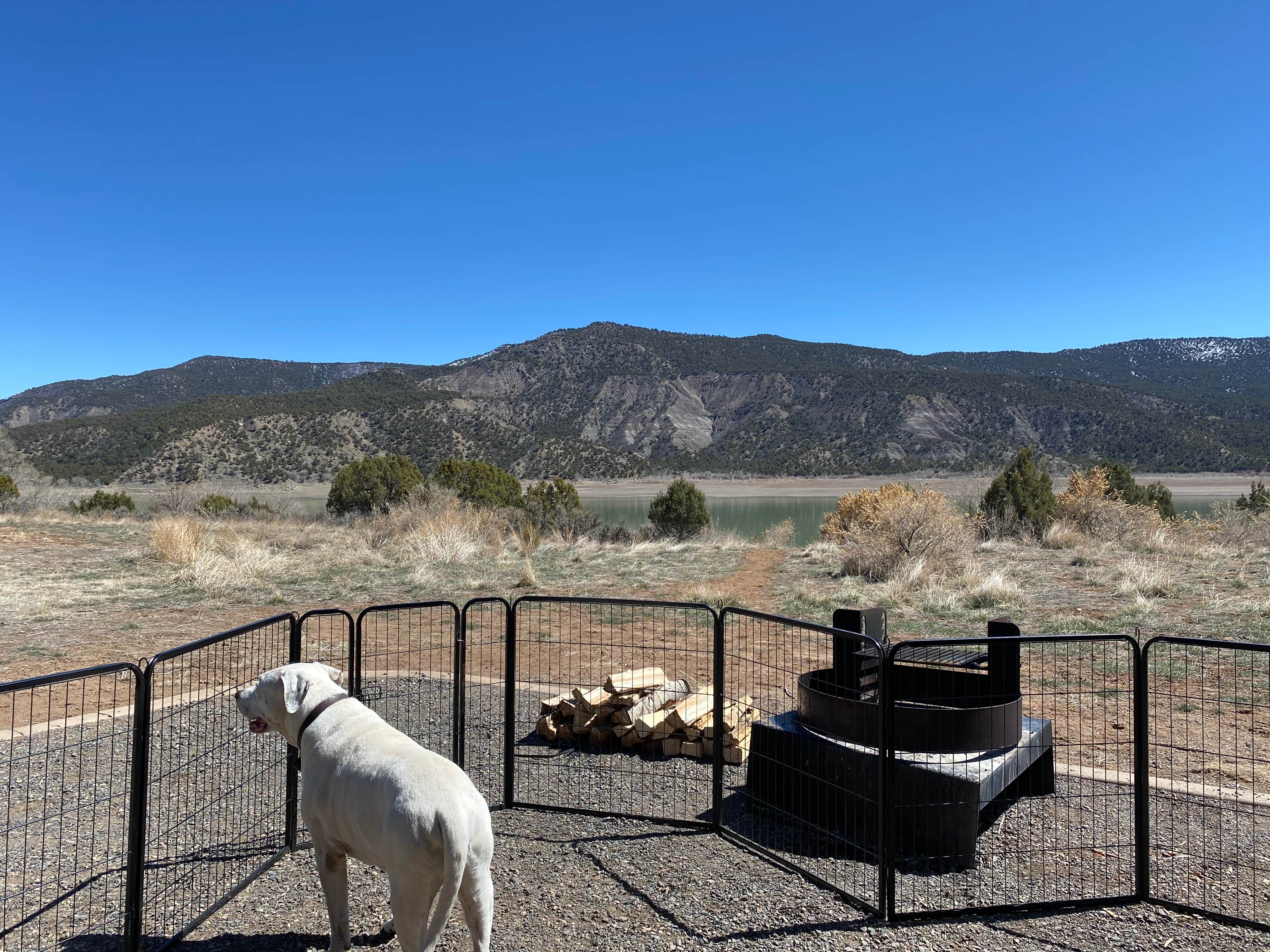 Jeff N.'s photo of camping with pets at Rosa Campground — Navajo State Park near Bloomfield, NM