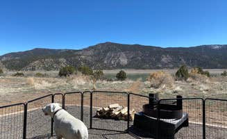 Jeff N.'s photo of camping with pets at Rosa Campground — Navajo State Park near Pagosa Springs, CO