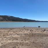 Review photo of Rosa Campground — Navajo State Park by Jeff N., April 1, 2021