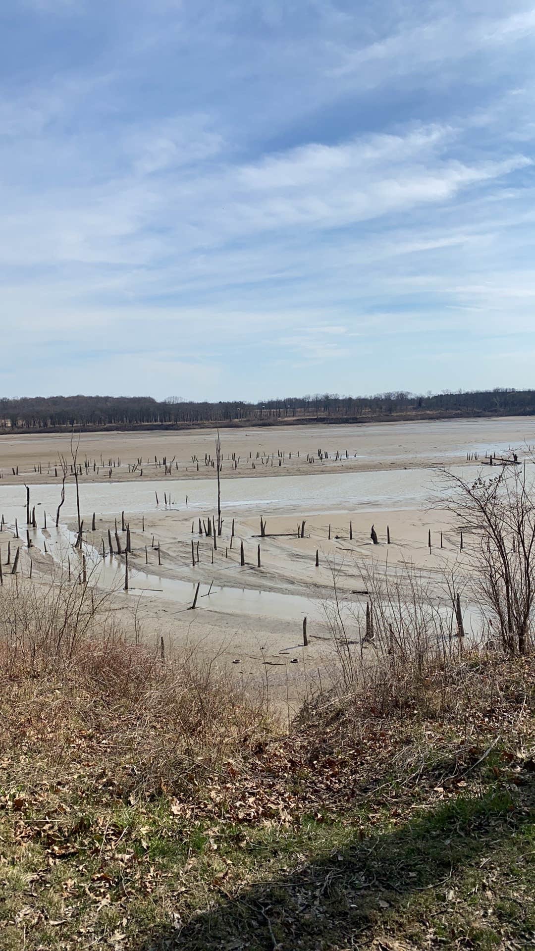 Camper submitted image from Kil-So-Quah - J. Edward Roush Lake - 5