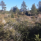 Review photo of Little pine campground by Daniel A., April 2, 2021