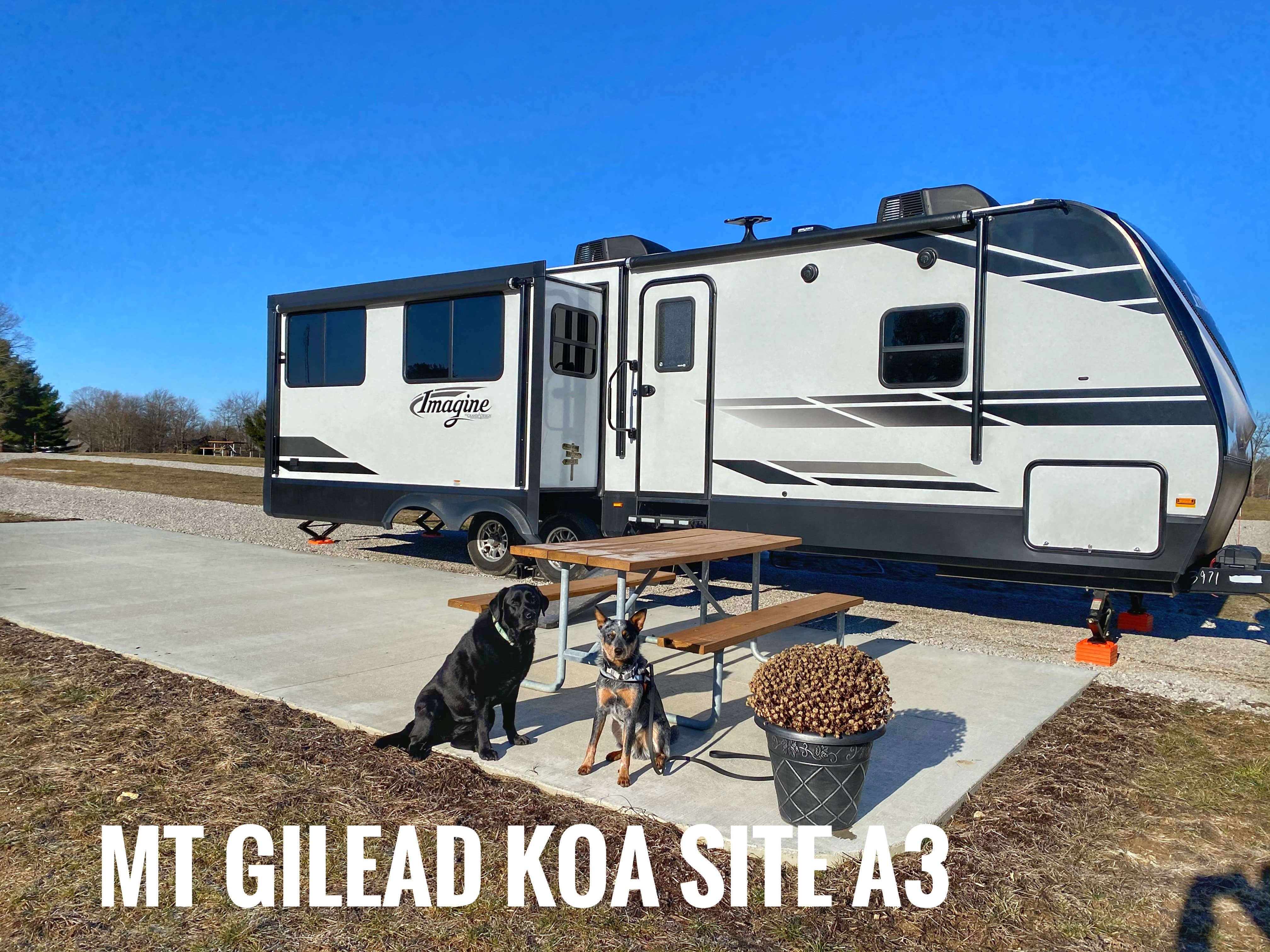 Andrea F.'s photo of camping with pets at Mt. Gilead / Mid-Ohio KOA near Columbus, OH