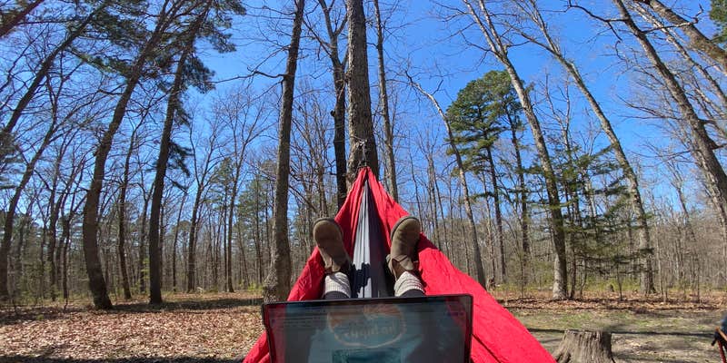 Camper submitted image from Berryman Trail & Campgrounds - Mark Twain National Forest