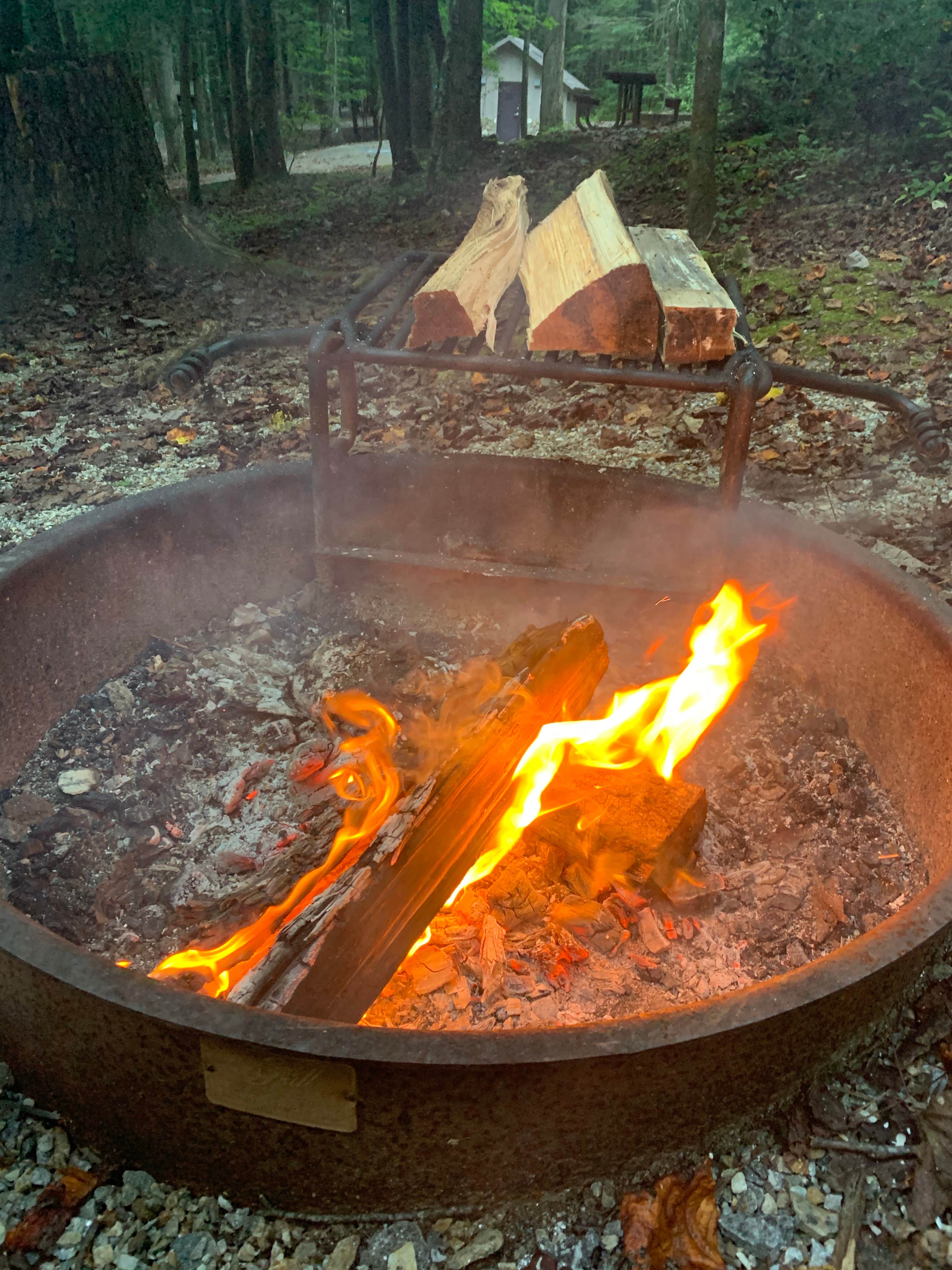 Camper submitted image from Desoto Falls Recreation Area - 5